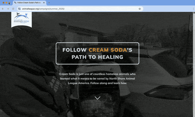 Landing Page for North Shore Animal League — image 1