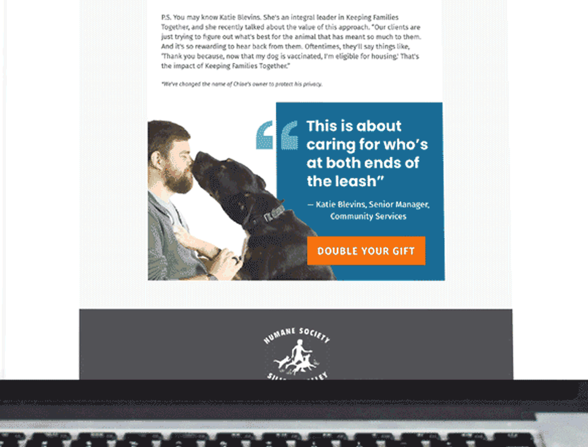 Integrated Campaign for Humane Society Silicon Valley project artwork