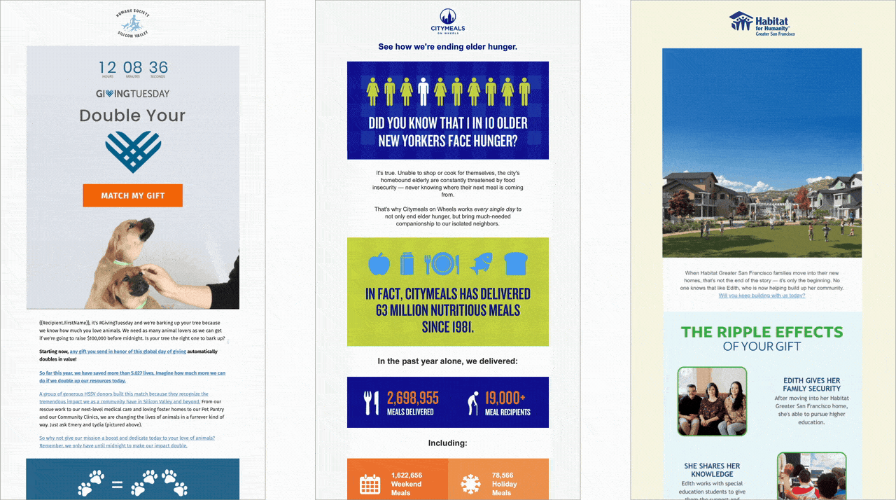 Visual emails for Humane Society Silicon Valley, Citymeals on Wheels, and Habitat for Humanity.